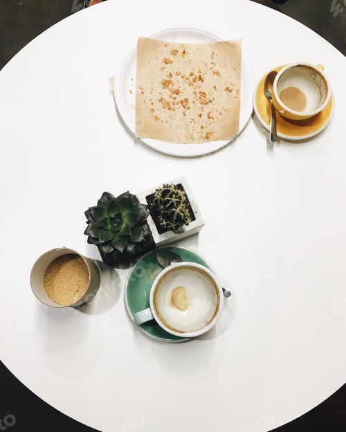 Preview: Coffee Cups and Potted Succulents on White Table
