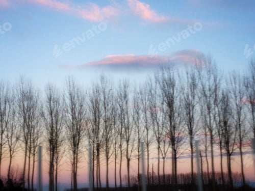 Preview: Beautiful sky at dawn and trees