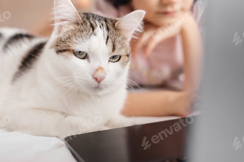 Preview: A girl up to 12 years old with headphones and a cat is watching a cartoon on the Internet.