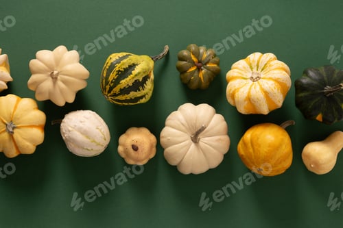 Preview: Autumn colorful pumpkins for Thanksgiving day or Halloween.