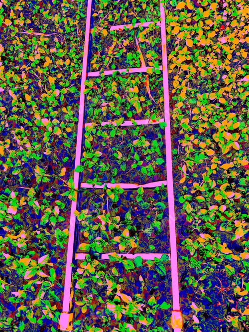 Preview: Pink ladder on colorful leaf background