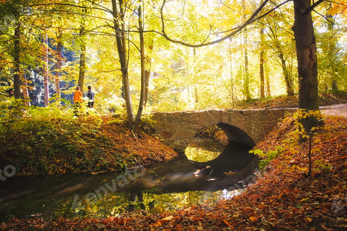 Preview: view of the autumn solar wood and the bridge through the small river