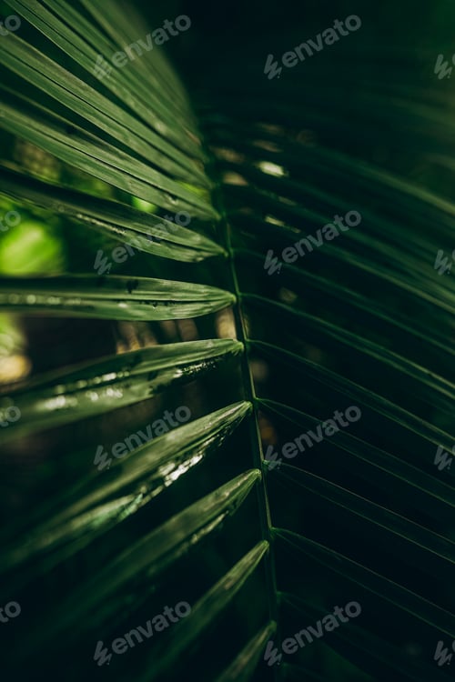 Preview: Green leaves background. Abstract natural floral background.