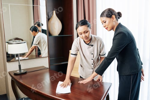Preview: Hotel Manager Controlling Young Maid