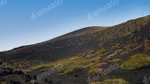 Preview: Rugged and desolate view of Mount Etna's slopes, dominated by dark volcanic rock and soil.