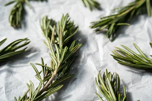 Preview: Rosemary Sprigs, Close Up.