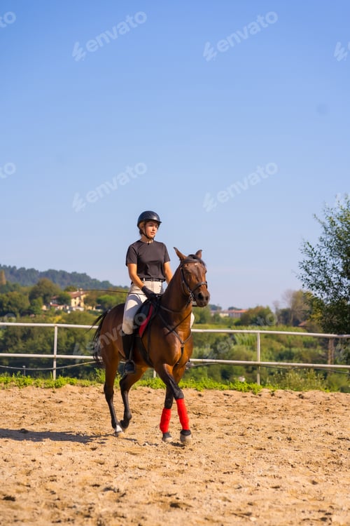 Preview: Young caucasian girl riding on a horse with a brown horse, dressed in black rider
