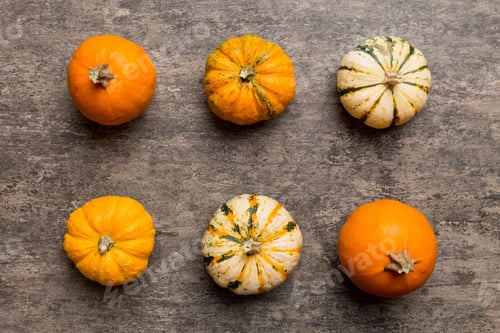 Preview: Autumn composition of little orange pumpkins on colored table background.