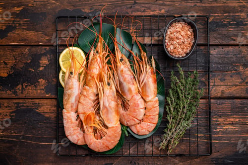 Preview: Raw Red Langostino Austral shrimps on rack with herbs. wooden background. top view