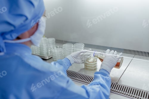 Preview: Lab Technician Pouring Media into Petri Dishes for Microbiology Research in a Laboratory