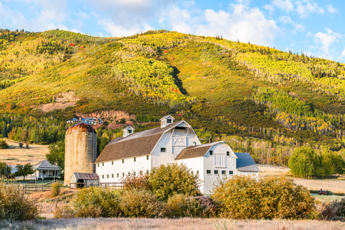 Preview: Park City, Utah, USA Farm