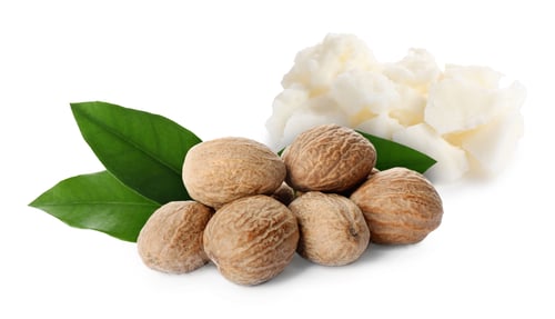 Preview: Natural shea butter, nuts and green leaves isolated on white