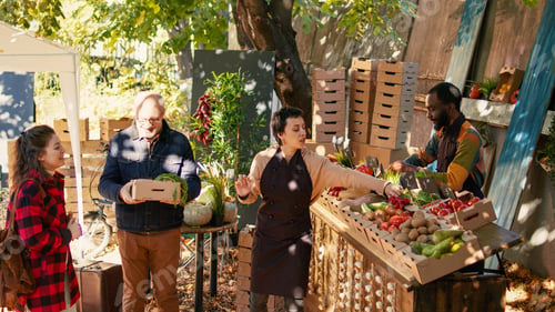 Preview: Young team of stand holders choosing apples and vegetables in box