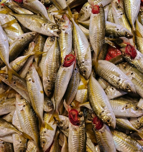 Preview: Fish Food in a Fish Market Stand