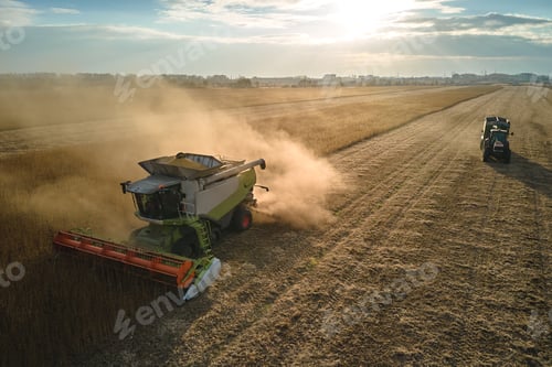 Preview: Aerial view of combine harvester and cargo trailer working during harvesting season on large ripe