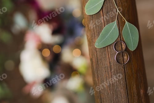 Preview: Closeup of two wedding rings on natural background with flowers and leaves.