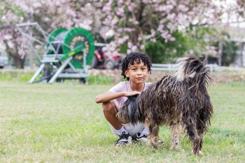 Preview: A joyful child kneels on the grass, petting a playful dog under blooming cherry blossom trees.