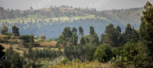 Preview: Farm, house, and mountains in the highlands of Ethiopia.