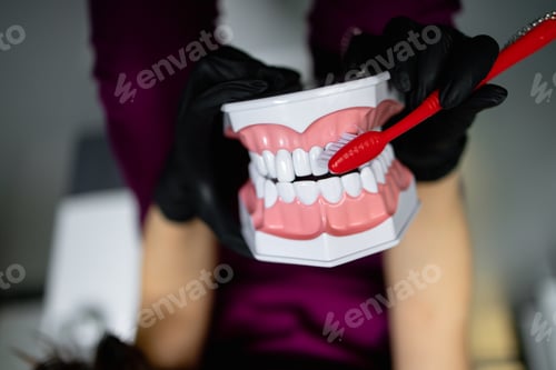 Preview: shot of doctors hand holding models of teeth on an artificial jaw and toothbrush