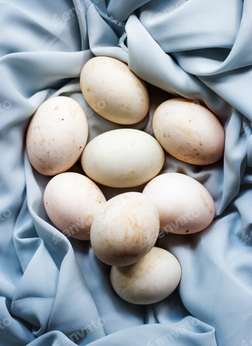 Preview: Closeup of fresh organic duck eggs