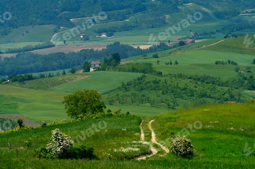 Preview: Rural landscape at May in Piedmont, near Brignano and Serra del Monte