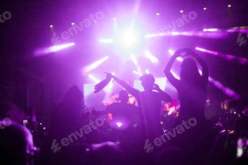 Preview: Portrait of happy crowd enjoying at music festival