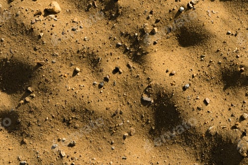 Preview: Sand texture with pebbles for background. Close-up.