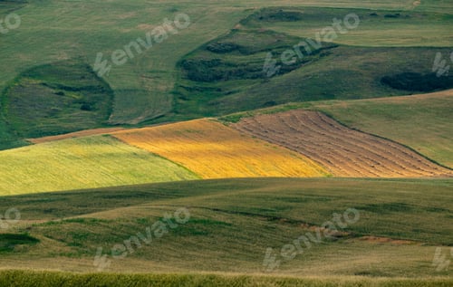 Preview: Cultivated farm fields in the foothills