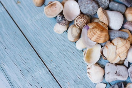 Preview: Summer beach background, seashells on light blue background