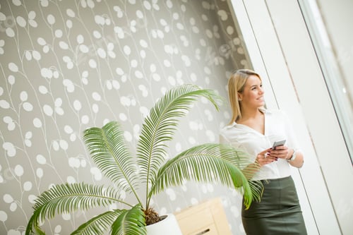 Preview: Young woman with mobile phone in the office