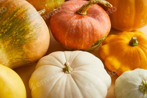 Preview: ripe whole colorful pumpkins in stack
