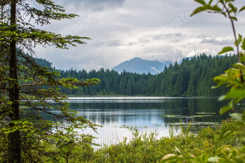 Preview: Beautiful view of a calm lake surrounded by evergreen trees under a cloudy sky