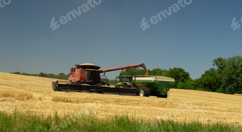 Preview: Combine harvester loading wheat into wagon pulled by a tractor