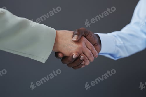 Preview: Side view black businessman shaking hands with partner against grey background