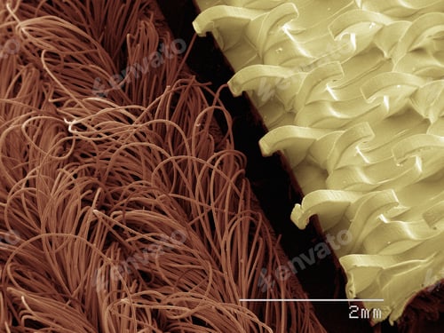 Preview: Coloured SEM of hook and loop fastener