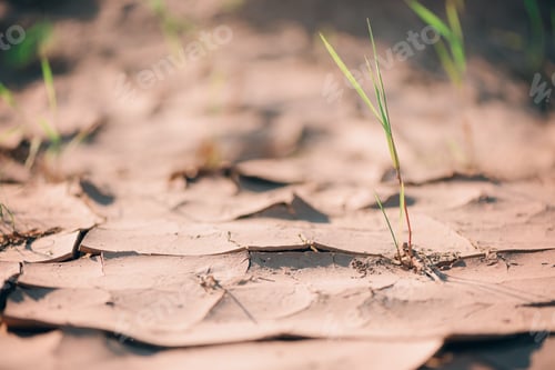 Preview: Water crisis. Cracked earth. Global warming problem. Dry land ground. Desert concept. Cracked soil