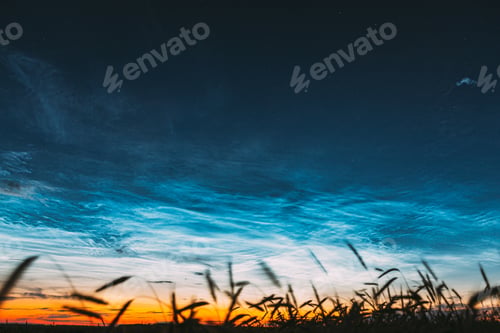 Preview: Night Starry Sky With Glowing Stars Above Countryside Landscape. Noctilucent Clouds Above Rural