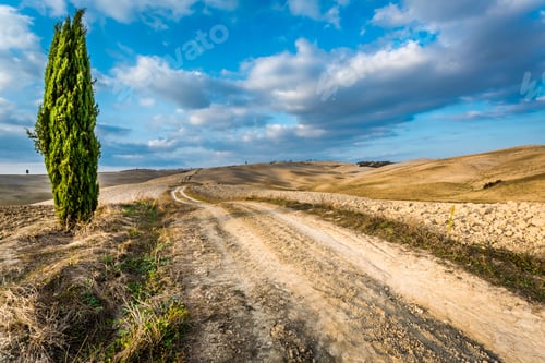 Preview: Beautiful view of yellow fields at sunset in Tuscany