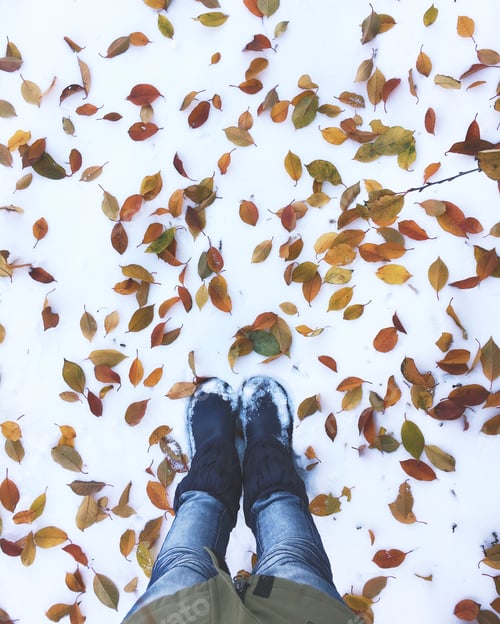 Preview: Winter with autumn leaves
