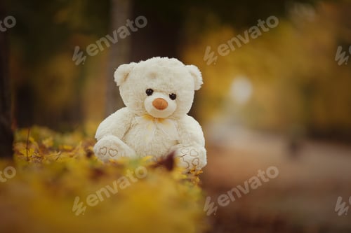 Preview: White bear in autumn mood