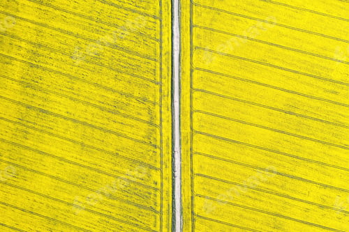 Preview: Aerial drone view of ground road in yellow fields