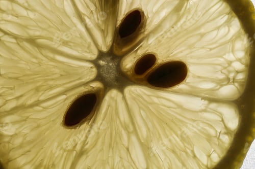 Preview: Slices of lemon