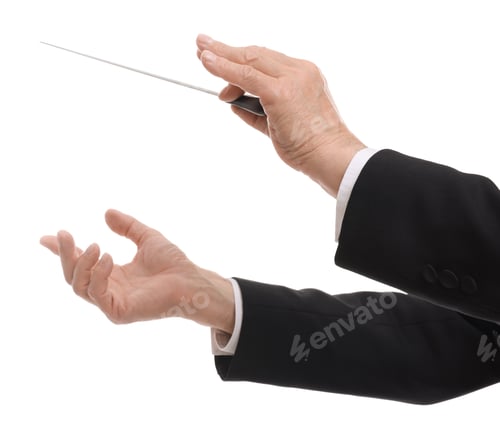 Preview: Professional conductor with baton on white background, closeup