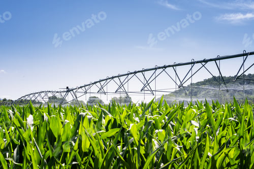 Preview: Equipment for industrial irrigation