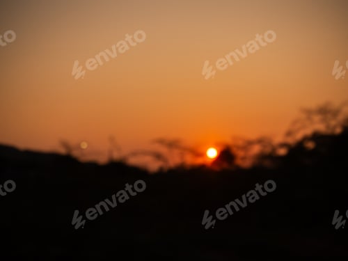Preview: Sunset blur shadow forest nature summer