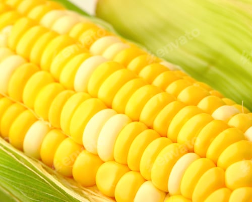Preview: corn