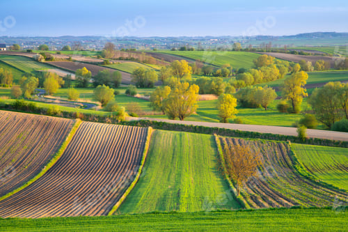 Preview: Poland, spring landscape with agricultural fields