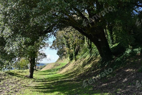 Preview: there is an empty dirt path through the woods near the river