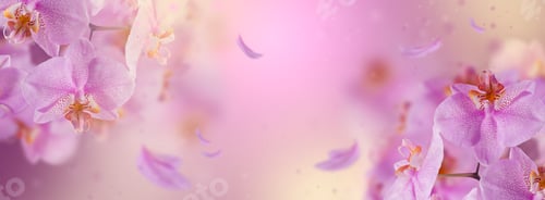 Preview: Elegant Floral Arrangement with Soft Pink Hues