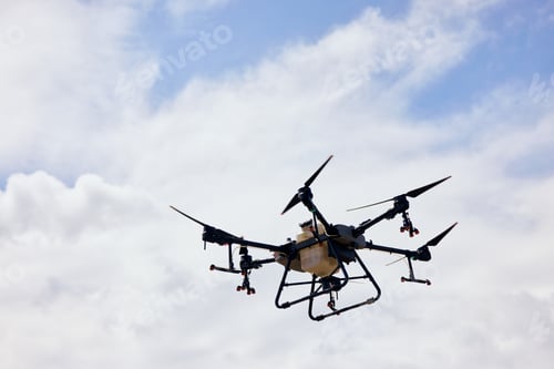 Preview: Close-up of an agrodrone flying above the field with a sprayer, blooming season.